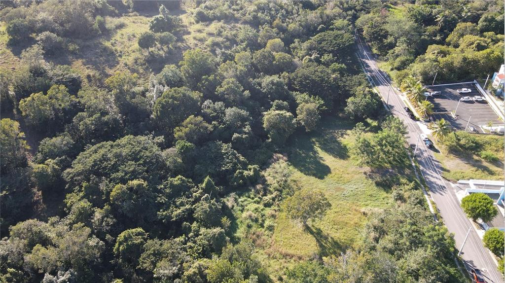 Carr. 307, Km. 3.5, La Mela, Bo. Pedernales, Cabo Rojo - 3