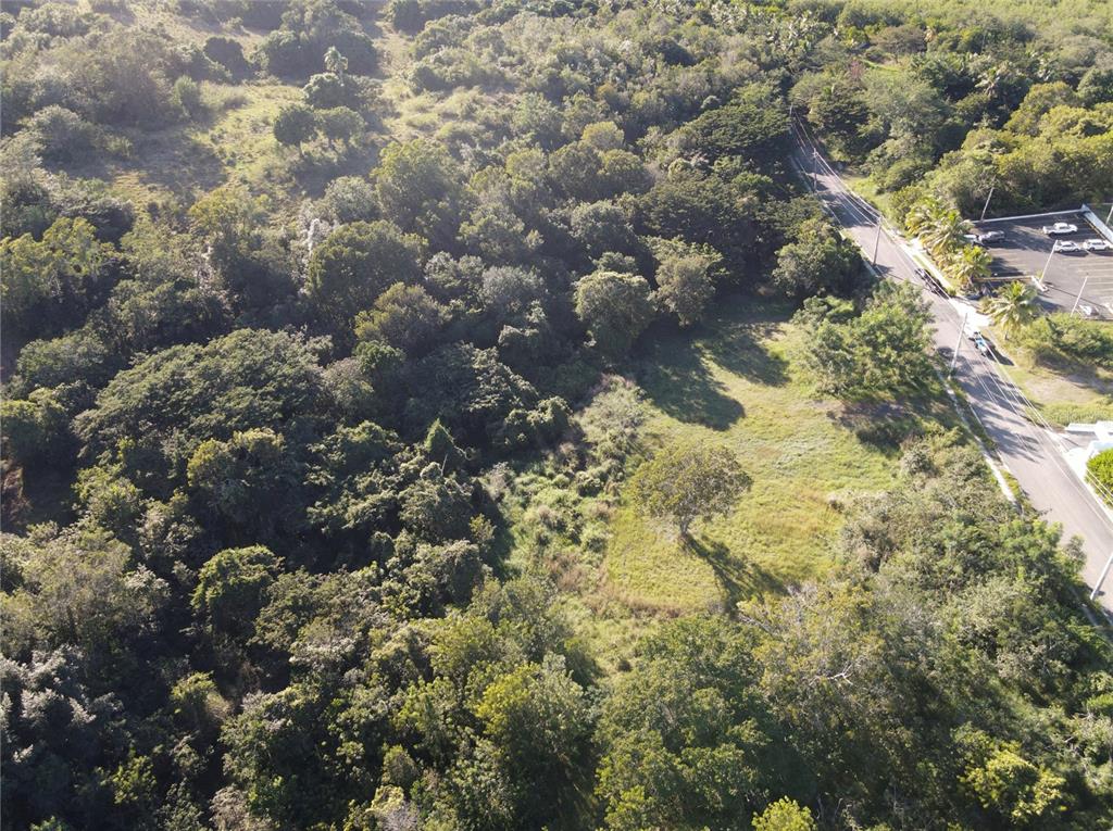 Carr. 307, Km. 3.5, La Mela, Bo. Pedernales, Cabo Rojo - 4