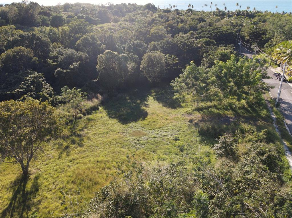 Carr. 307, Km. 3.5, La Mela, Bo. Pedernales, Cabo Rojo - 9