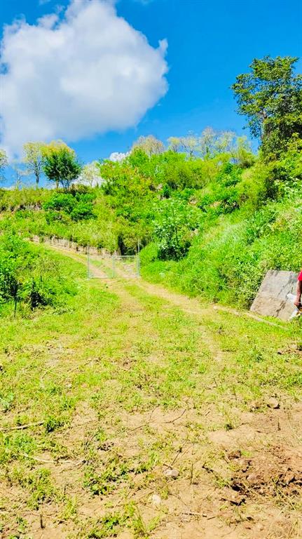 KM 41.0, 14, Route, Coamo - 3