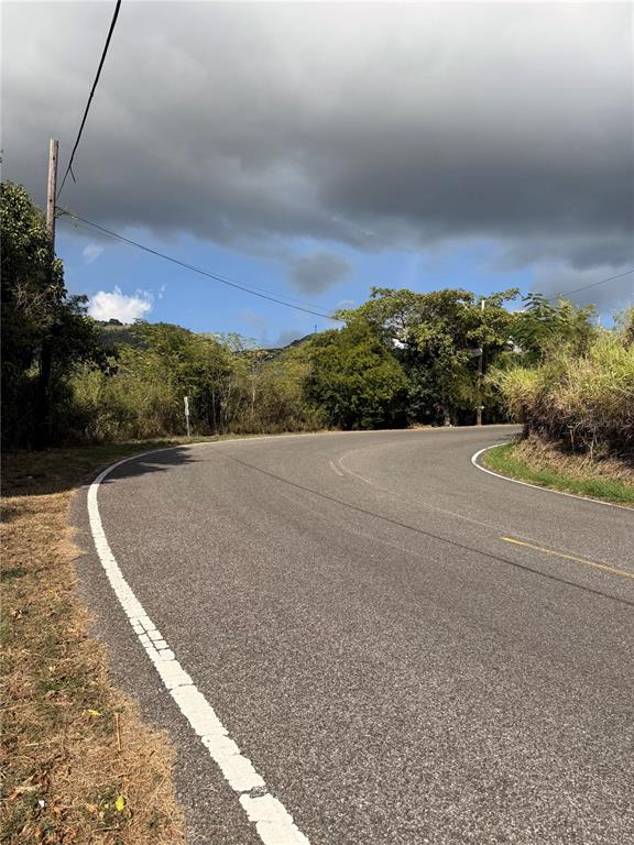 KM 41.0, 14, Route, Coamo - 4