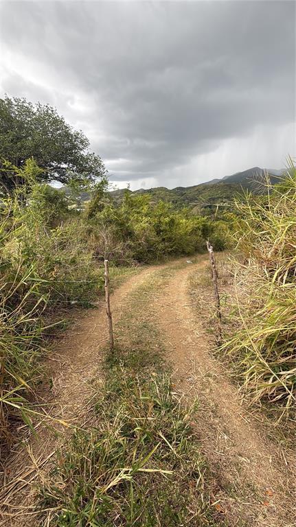 KM 41.0, 14, Route, Coamo - 6