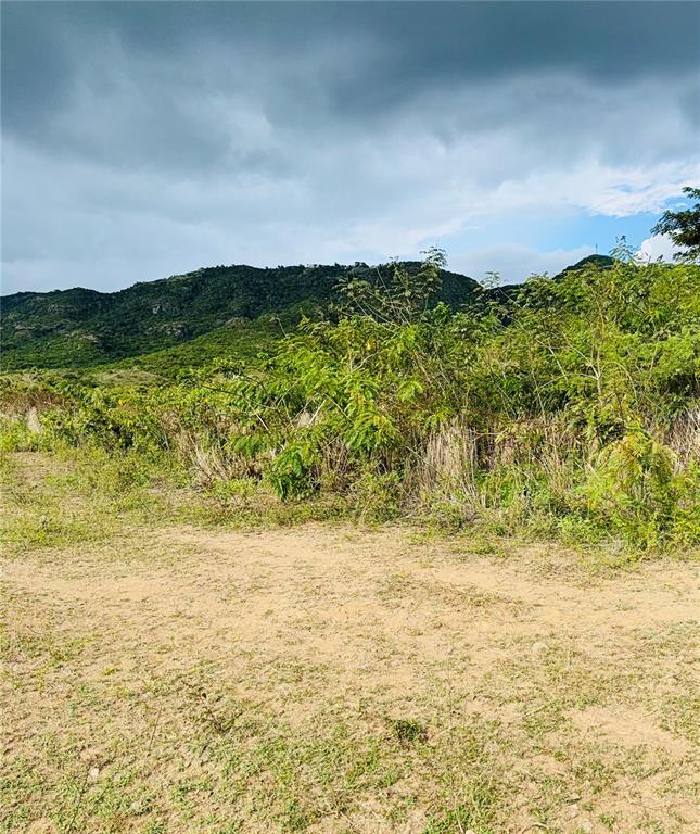 KM 41.0, 14, Route, Coamo - 7
