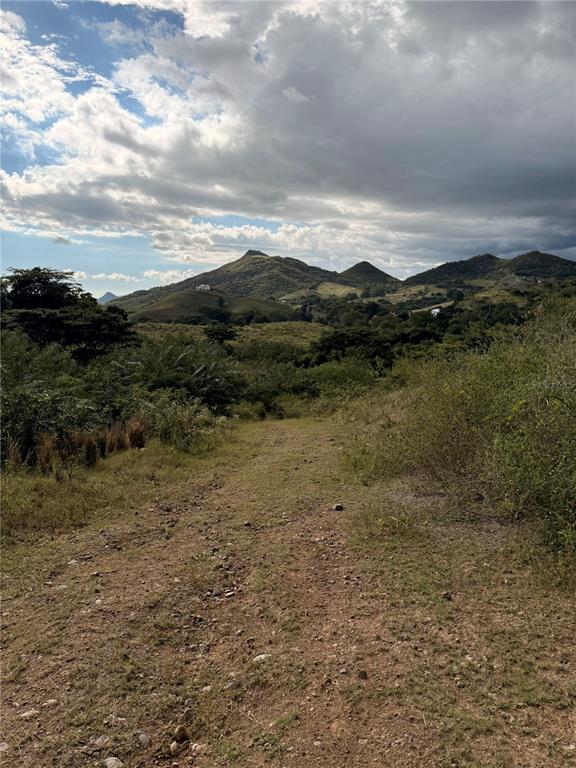 KM 41.0, 14, Route, Coamo - 8