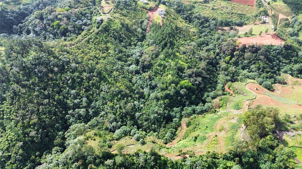 Bo. Maná, Carr. 802 Km 2.5, Corozal - 3