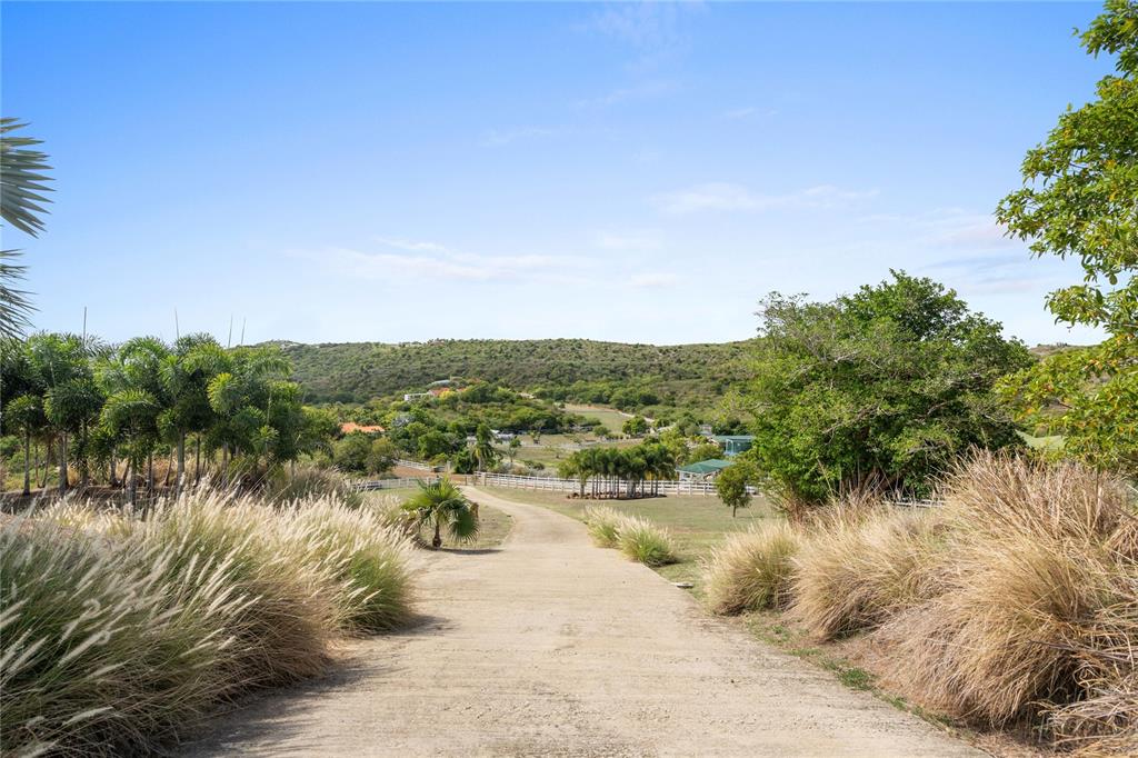 11, Barrio Frailes, Culebra - 49