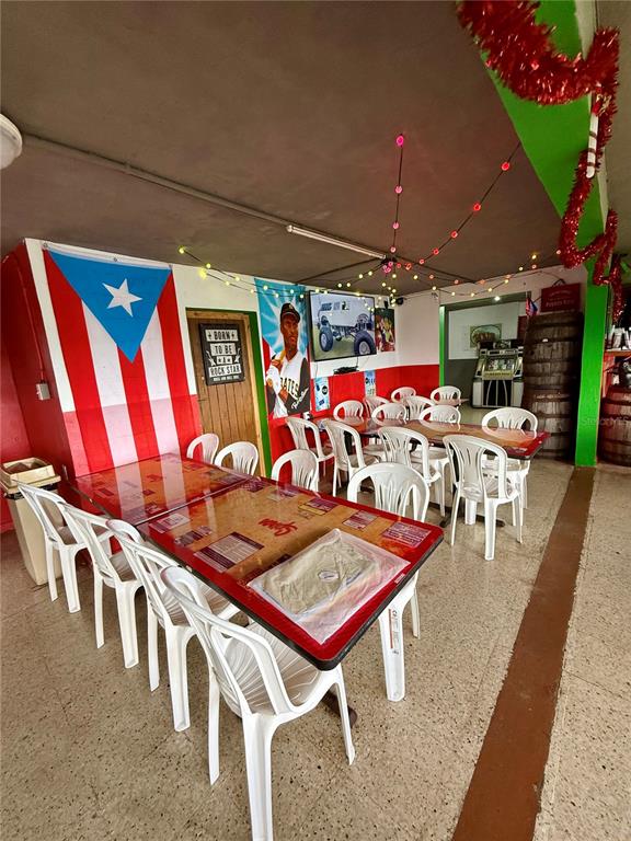 KM 18.3, 149, Route, Ciales - 13