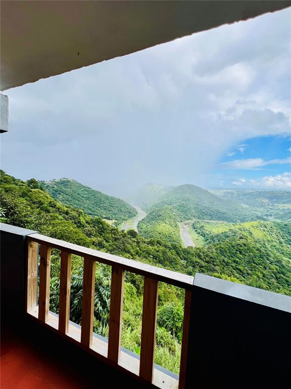 KM 18.3, 149, Route, Ciales - 51
