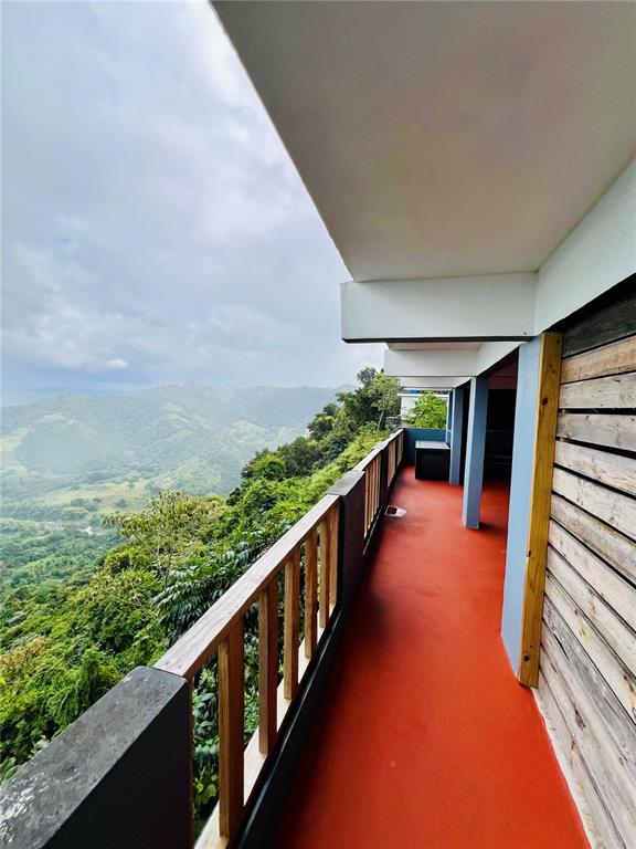 KM 18.3, 149, Route, Ciales - 56