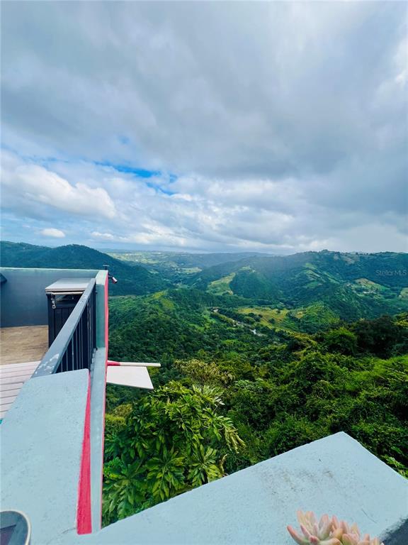 KM 18.3, 149, Route, Ciales - 66