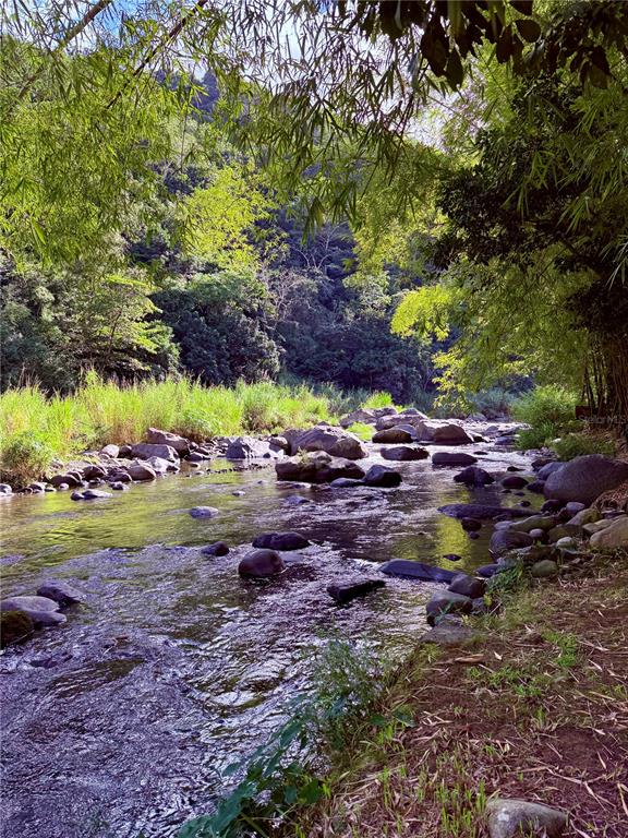 KM 18.3, 149, Route, Ciales - 69