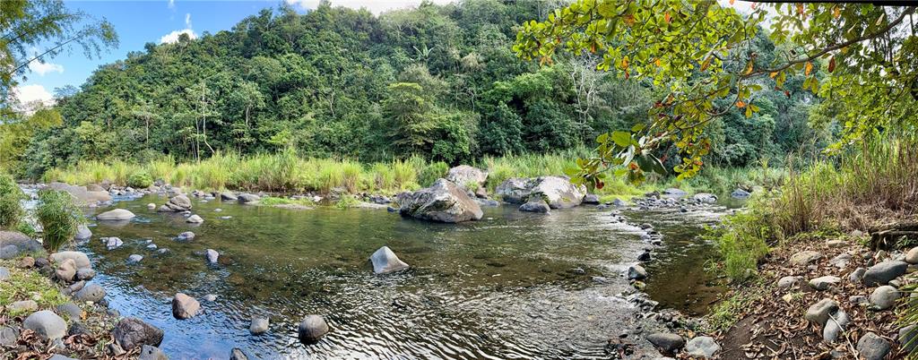 KM 18.3, 149, Route, Ciales - 70