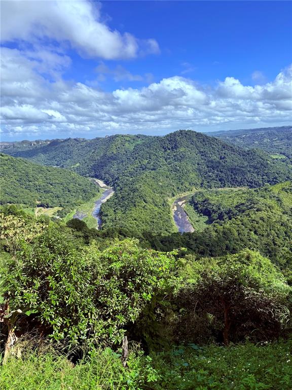 KM 18.3, 149, Route, Ciales - 71