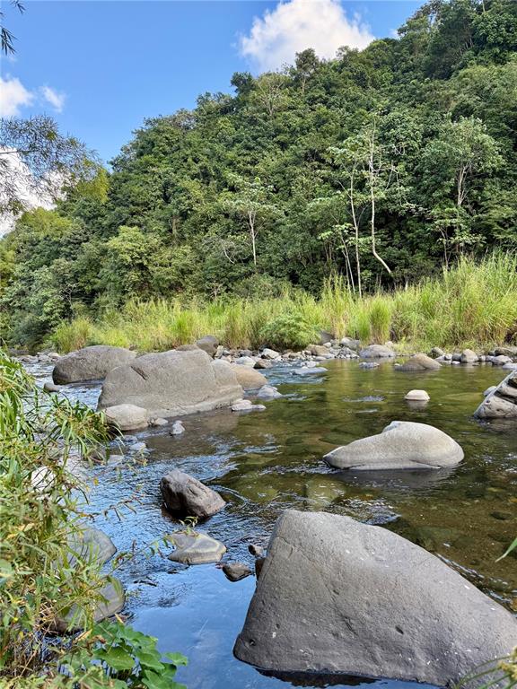 KM 18.3, 149, Route, Ciales - 72
