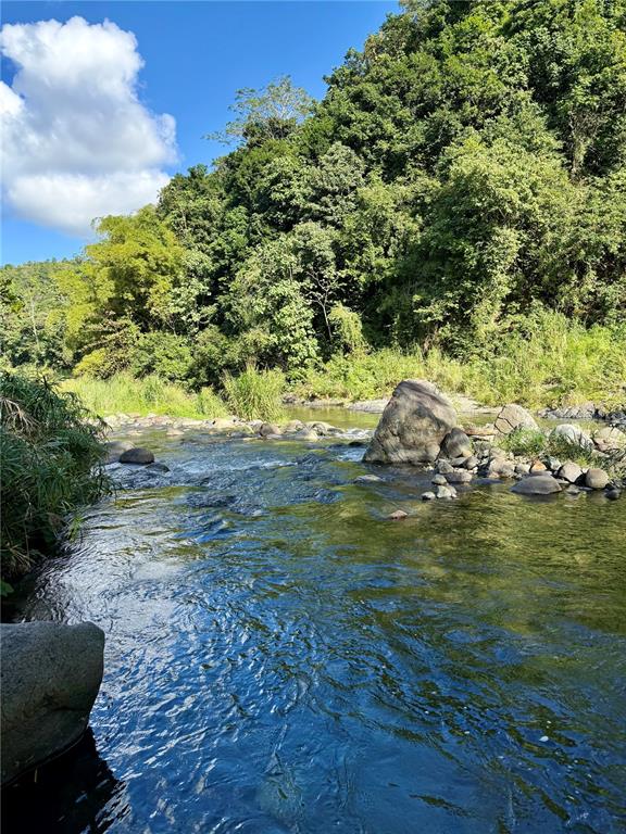KM 18.3, 149, Route, Ciales - 73