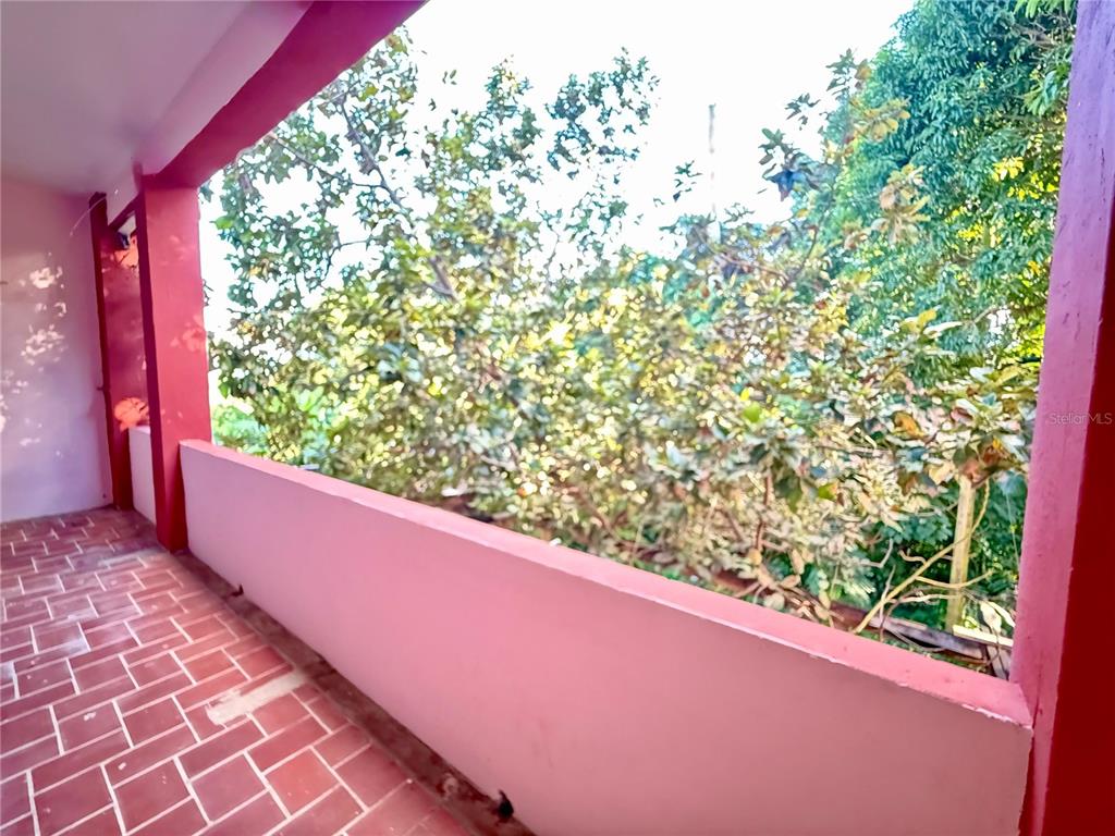 8874, Calle 3a, Canovanas - 18