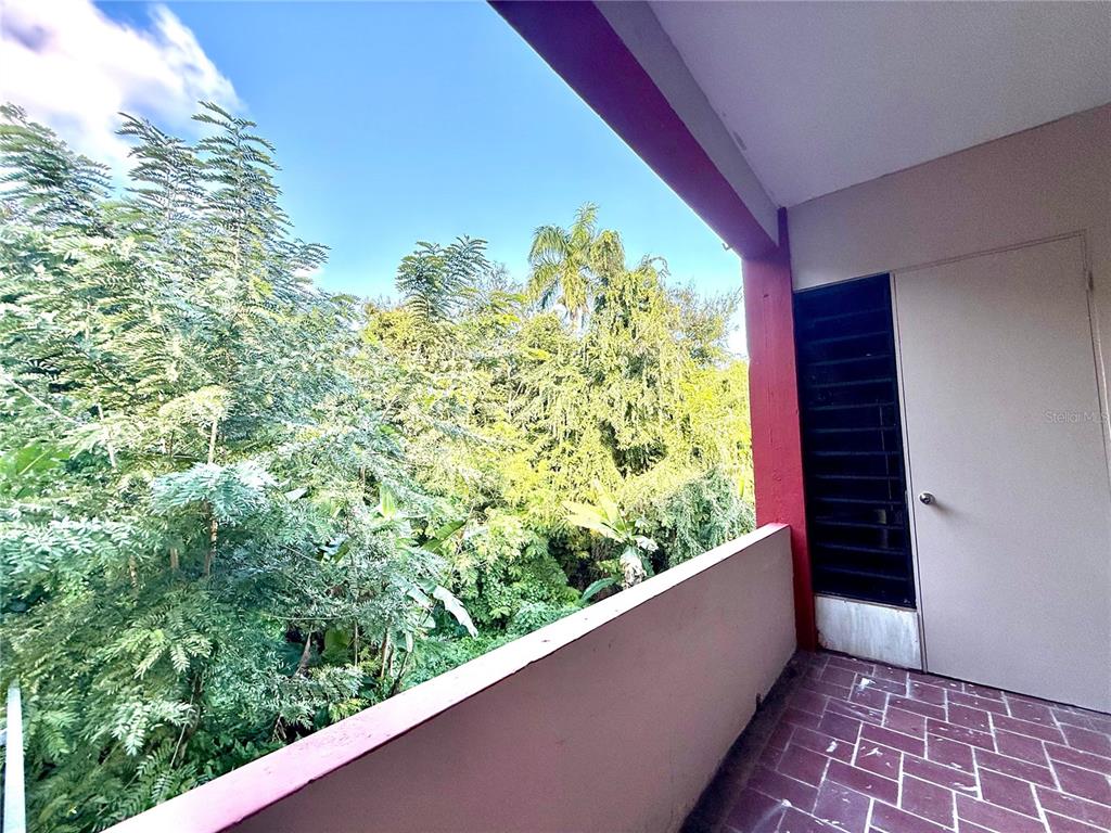 8874, Calle 3a, Canovanas - 23