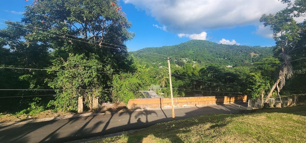 Lots A and B, Km 12.2 Int, Las Papayas Rd (sr-185), Carolina - 6