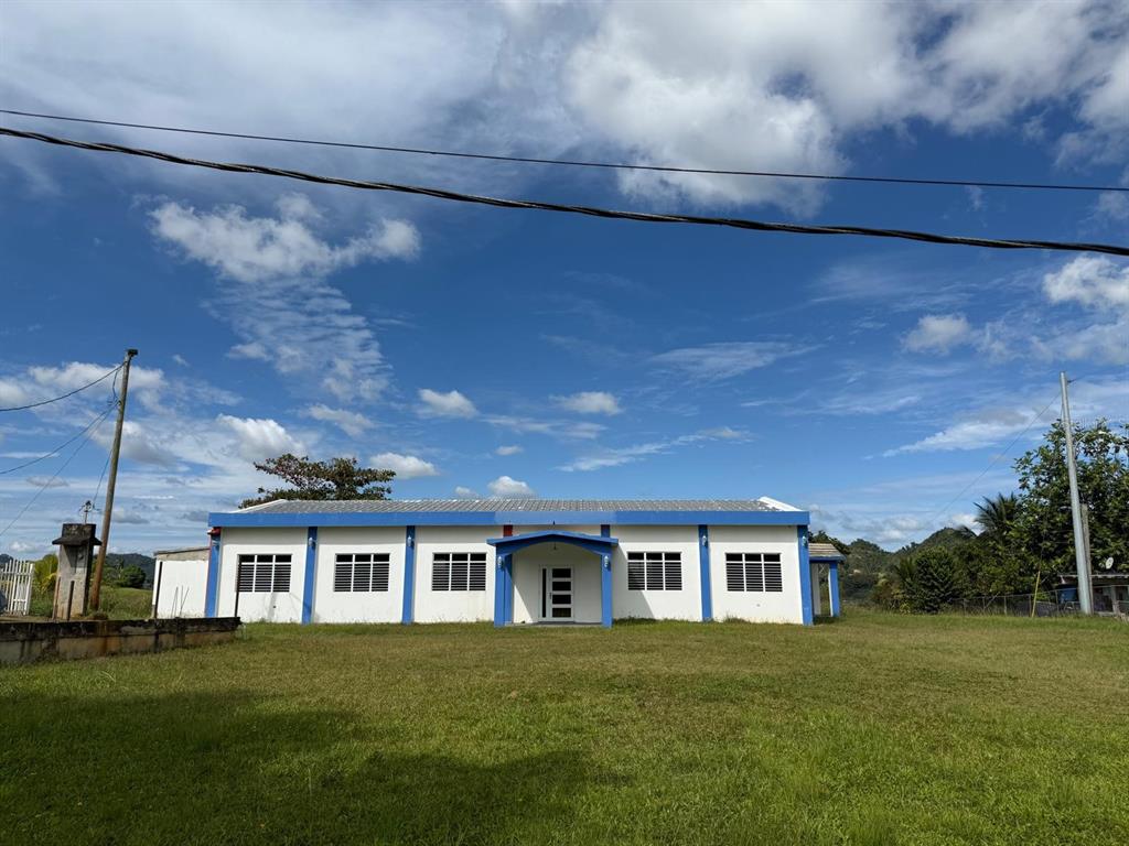 111, Carr 111 R 602 Km 1.2 Int. Bo Angeles, Utuado - 3