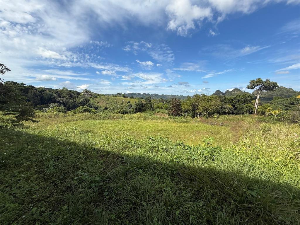 111, Carr 111 R 602 Km 1.2 Int. Bo Angeles, Utuado - 6
