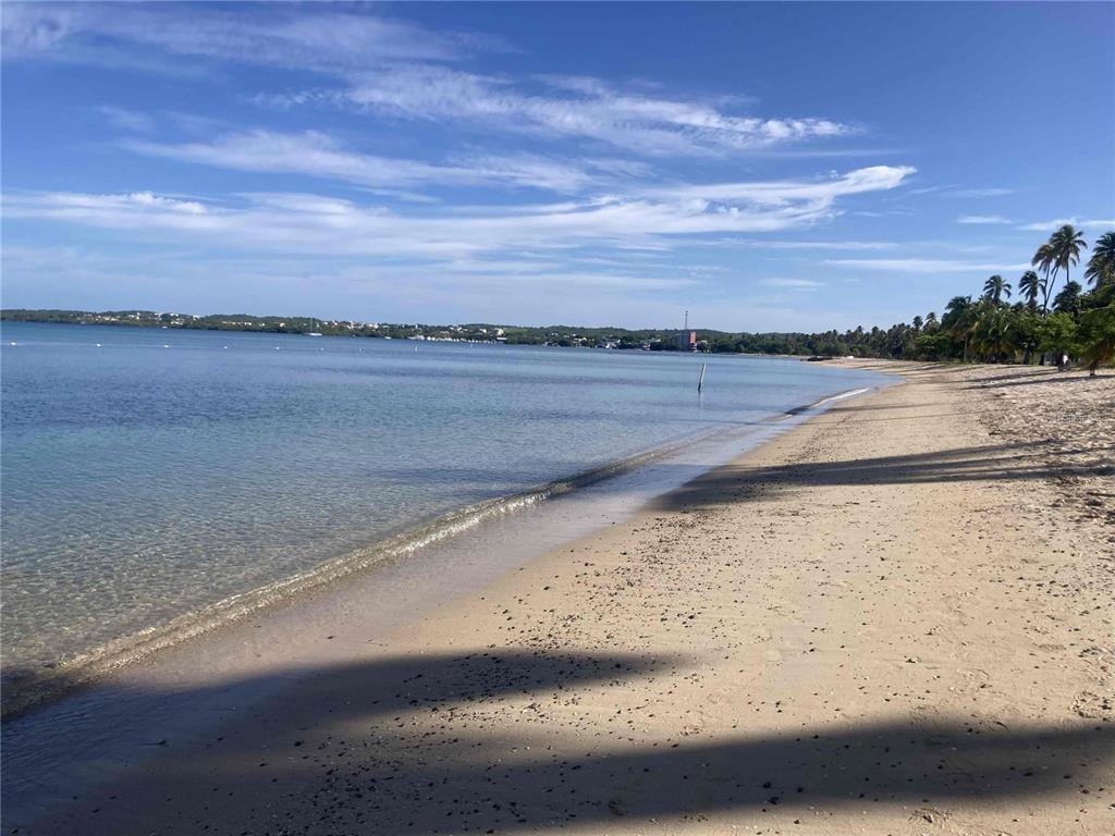 Paraiso De Boqueron, Cabo Rojo - 19