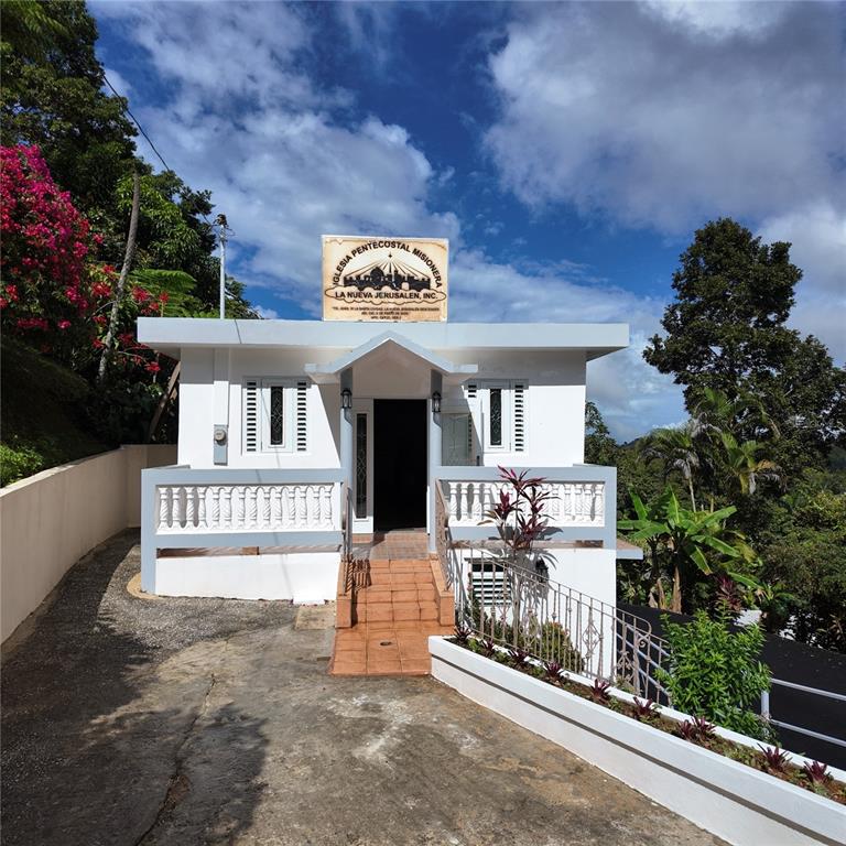 Carr, 157 Km 23.2 Int Bo. Barros, Orocovis - 1