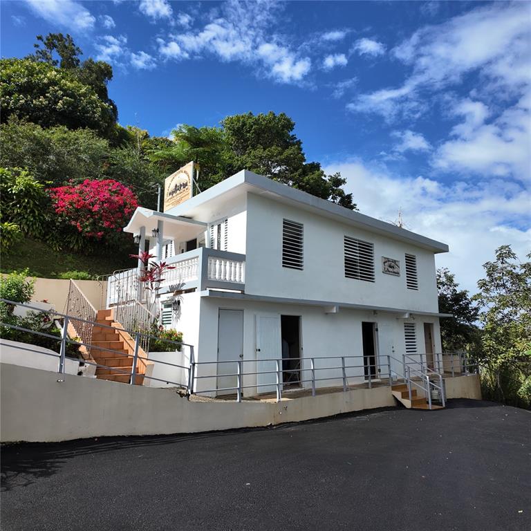 Carr, 157 Km 23.2 Int Bo. Barros, Orocovis - 2