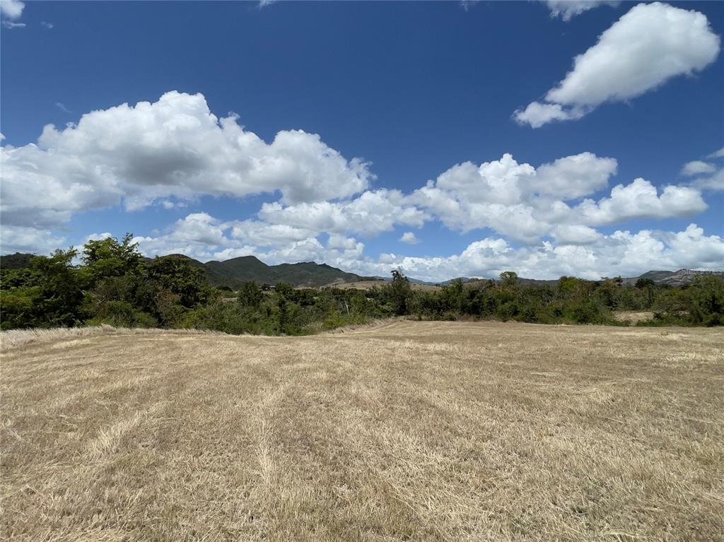 14, Los Llanos Ward, Coamo - 3
