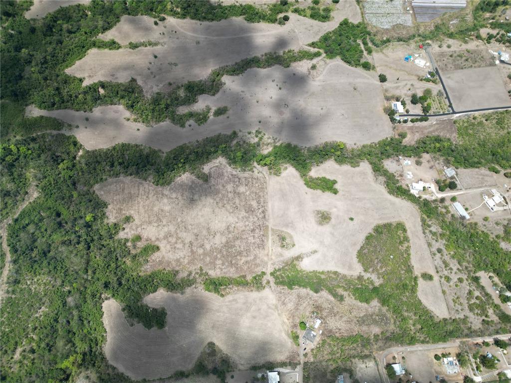 14, Los Llanos Ward, Coamo - 6