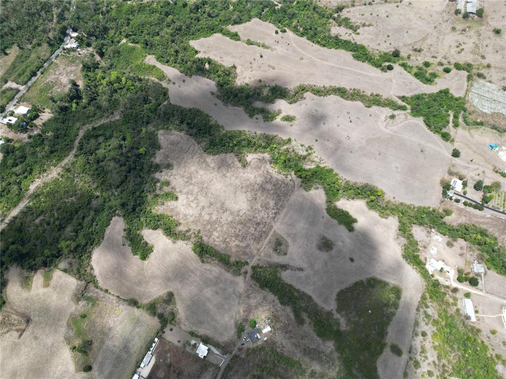 14, Los Llanos Ward, Coamo - 7