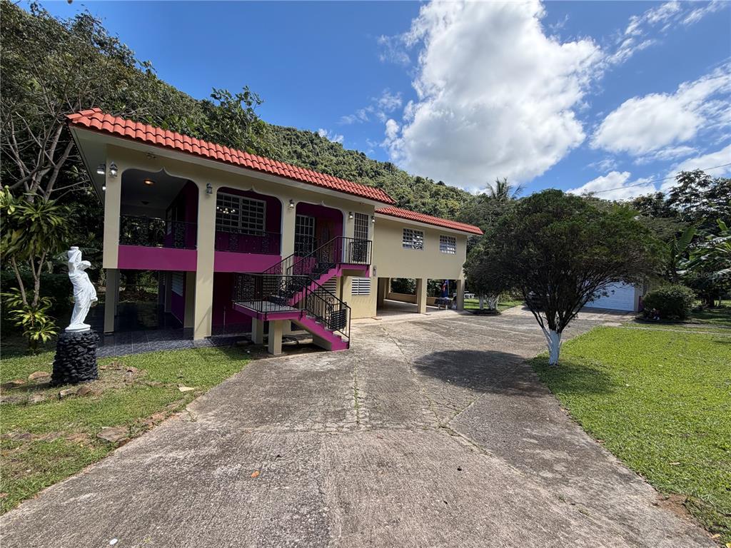 Lot 1, Km 4.9, Pr 175, Caguas - 1
