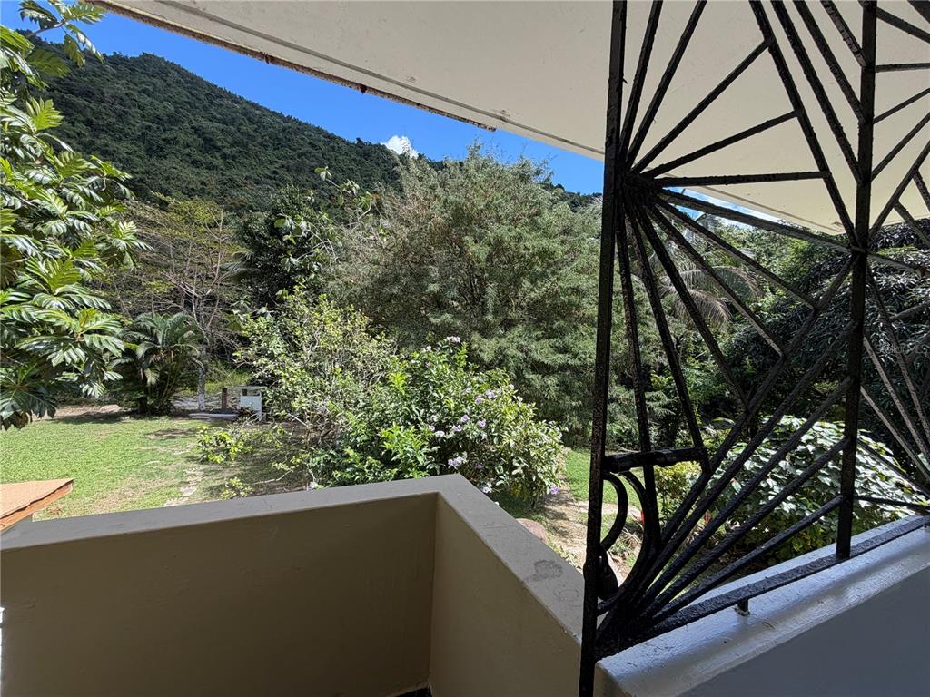 Lot 1, Km 4.9, Pr 175, Caguas - 11