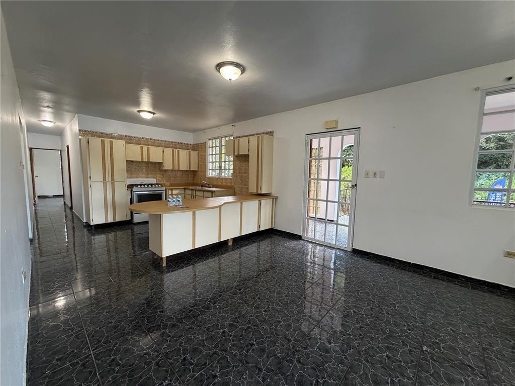 Lot 1, Km 4.9, Pr 175, Caguas - 2