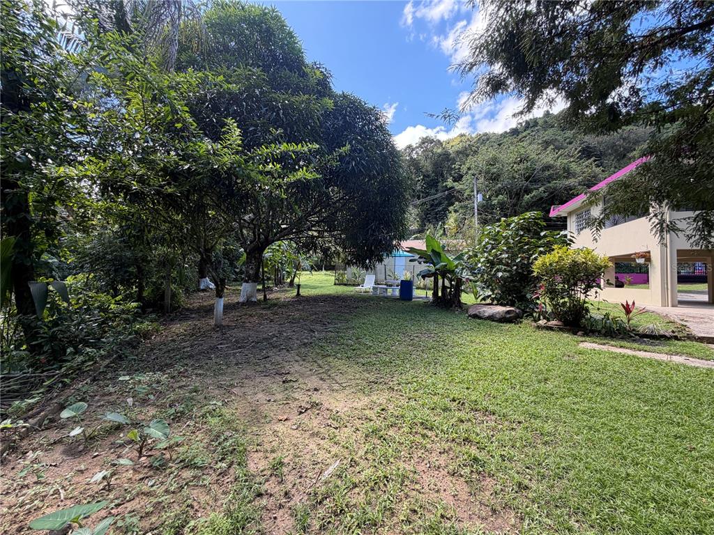 Lot 1, Km 4.9, Pr 175, Caguas - 24