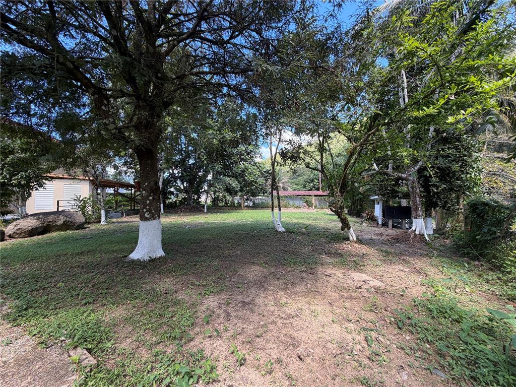 Lot 1, Km 4.9, Pr 175, Caguas - 25