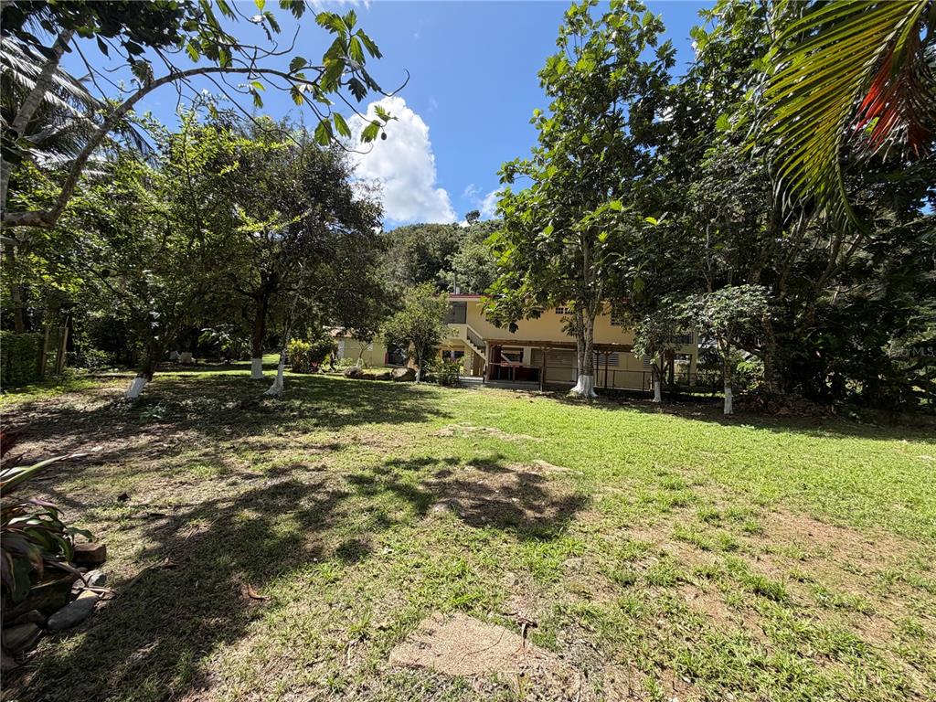 Lot 1, Km 4.9, Pr 175, Caguas - 28