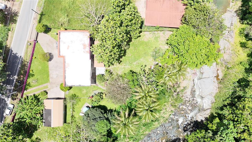 Lot 1, Km 4.9, Pr 175, Caguas - 29