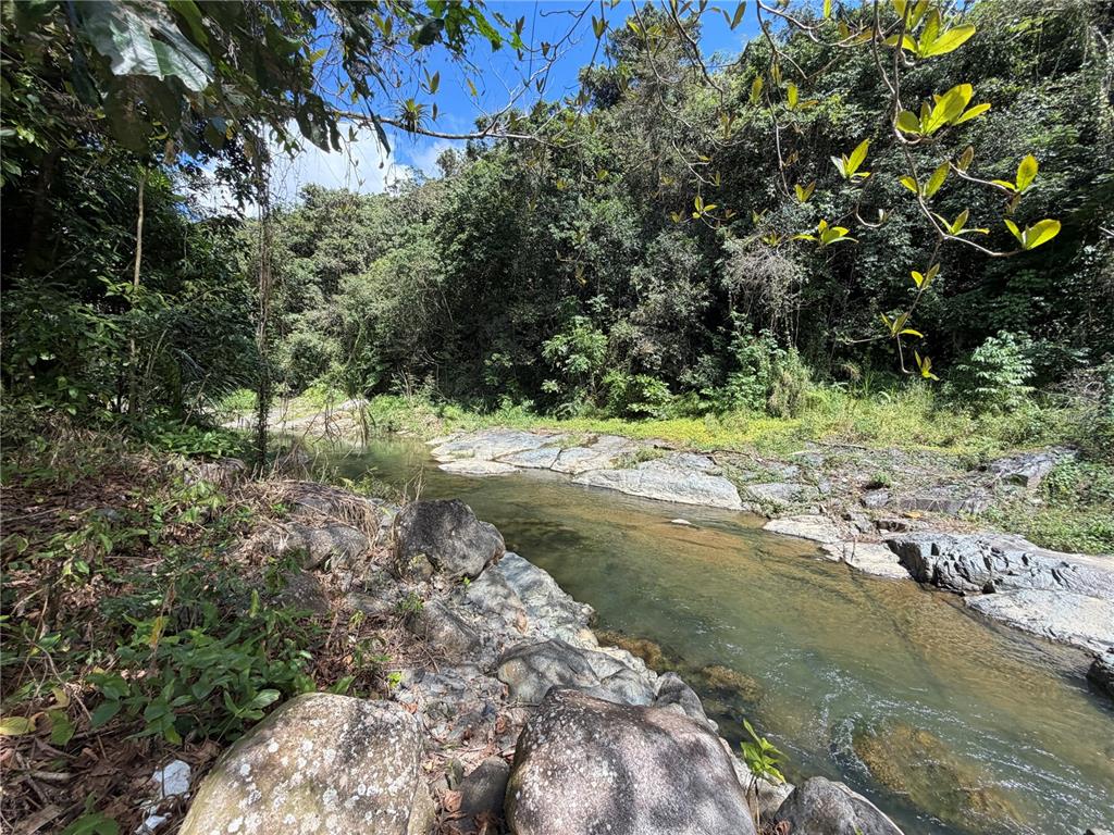 Lot 1, Km 4.9, Pr 175, Caguas - 31