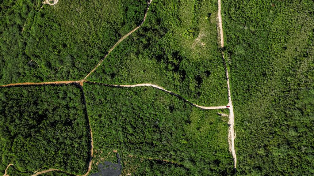 100, Carr 3301 Km 1.9, Combate, Cabo Rojo - 2