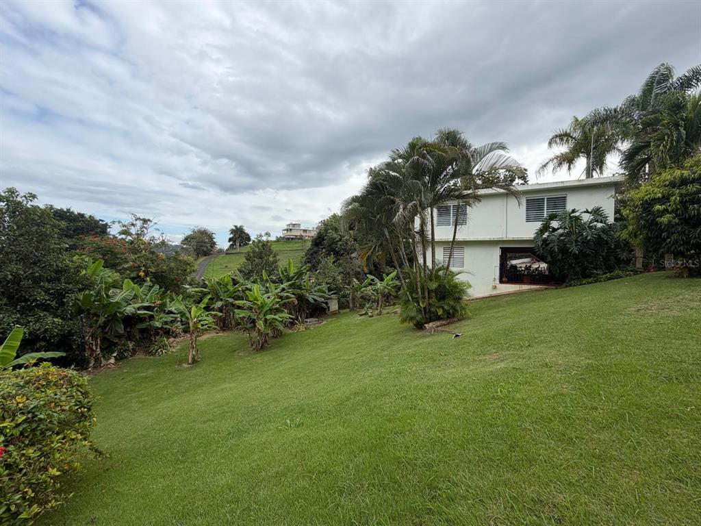 806, Quebrada Arenas, Toa Alta - 28