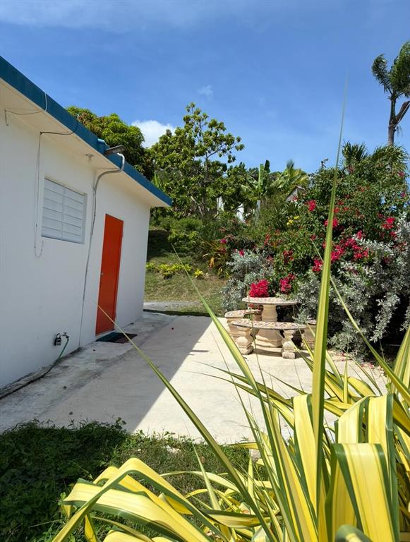 KM 2.0, 114, Route 901, Maunabo - 29