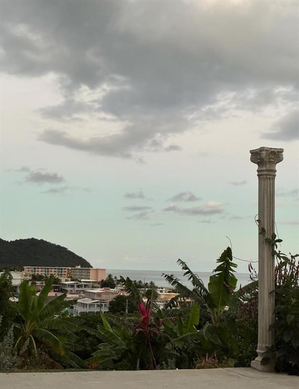 KM 2.0, 114, Route 901, Maunabo - 31