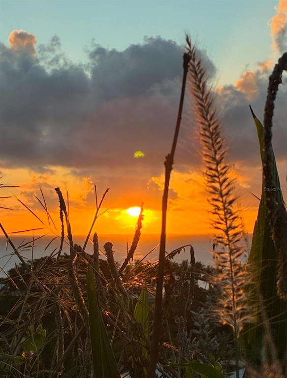 KM 2.0, 114, Route 901, Maunabo - 35