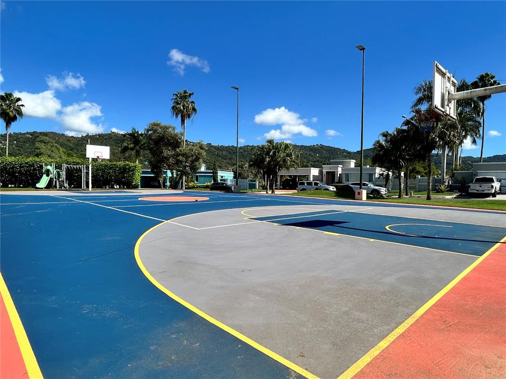 345, Calle Tulipan, Caguas - 33