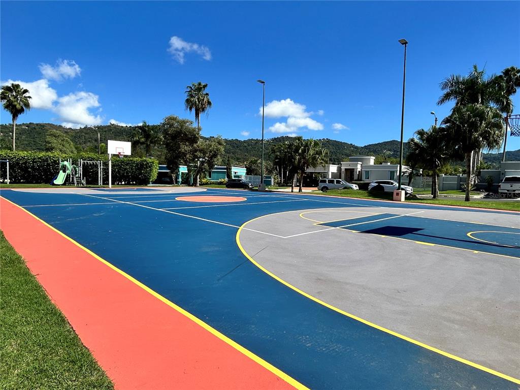 345, Calle Tulipan, Caguas - 34