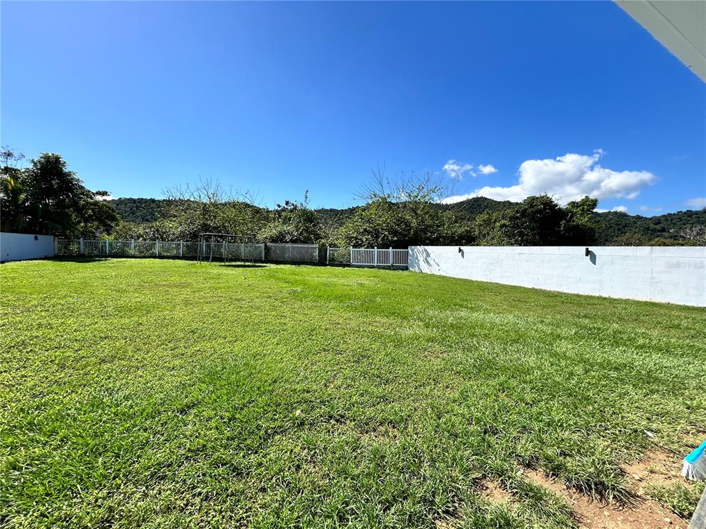 345, Calle Tulipan, Caguas - 8