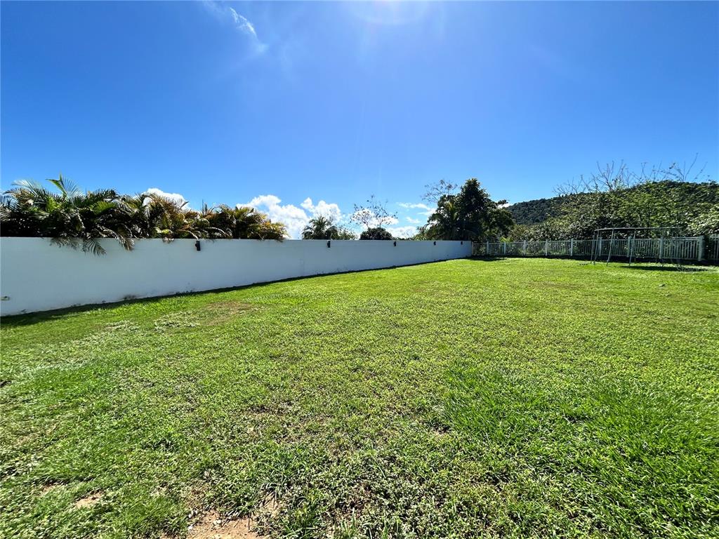 345, Calle Tulipan, Caguas - 9