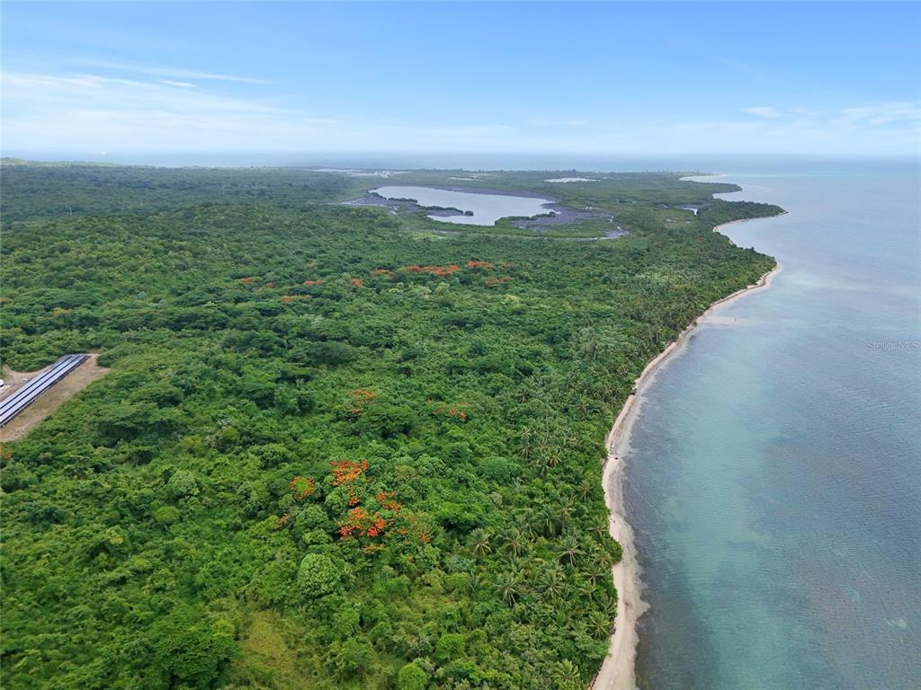 Punta Arenas, Puerto Real, Vieques - 6