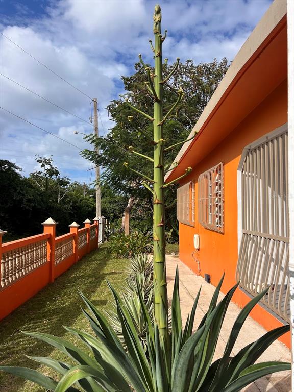 0, Solares A And B Florida, Vieques - 20