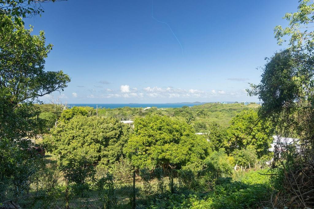 109, Santa María, Vieques - 1